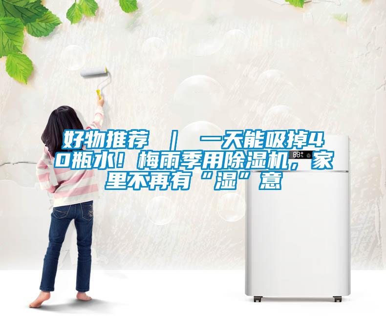 好物推薦 ｜ 一天能吸掉40瓶水！梅雨季用除濕機，家里不再有“濕”意