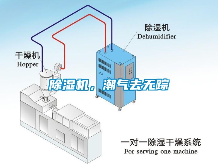 除濕機(jī)，潮氣去無(wú)蹤