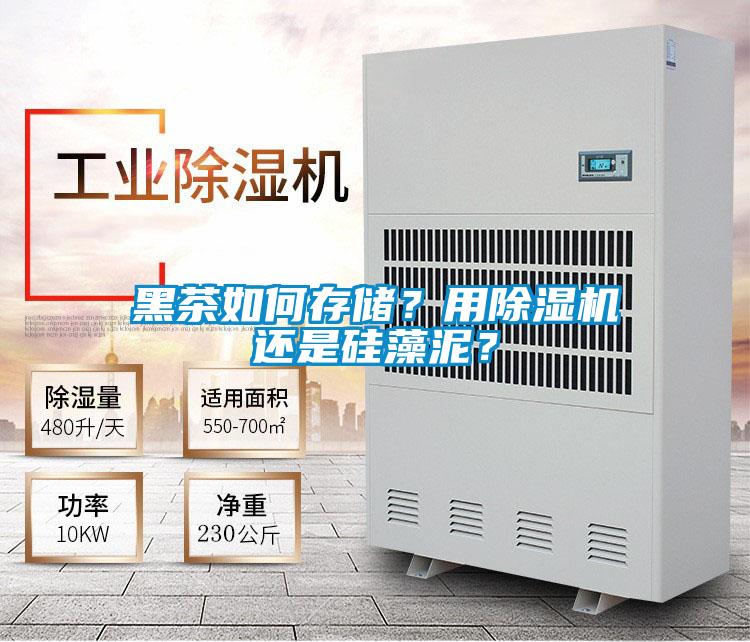黑茶如何存儲(chǔ)？用除濕機(jī)還是硅藻泥？
