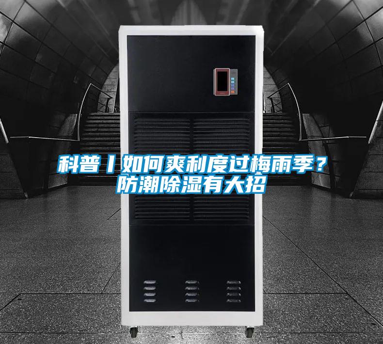 科普丨如何爽利度過(guò)梅雨季？防潮除濕有大招