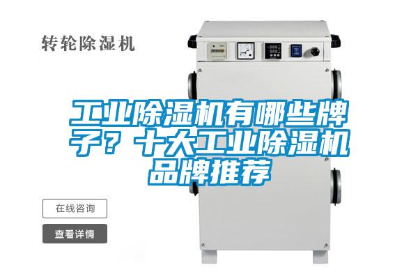 工業(yè)除濕機(jī)有哪些牌子？十大工業(yè)除濕機(jī)品牌推薦