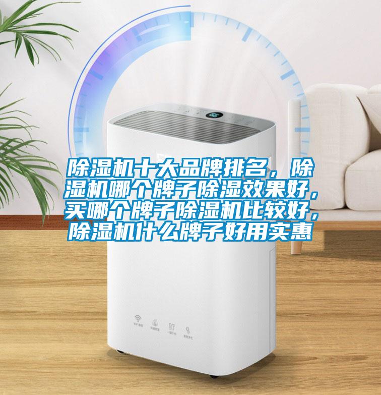 除濕機十大品牌排名，除濕機哪個牌子除濕效果好，買哪個牌子除濕機比較好，除濕機什么牌子好用實惠