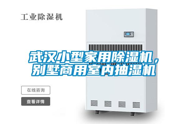 武漢小型家用除濕機(jī)，別墅商用室內(nèi)抽濕機(jī)