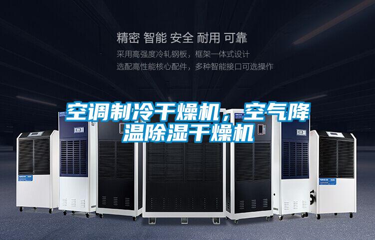 空調(diào)制冷干燥機(jī)，空氣降溫除濕干燥機(jī)