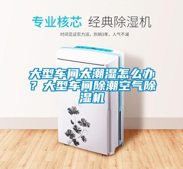 大型車間太潮濕怎么辦？大型車間除潮空氣除濕機