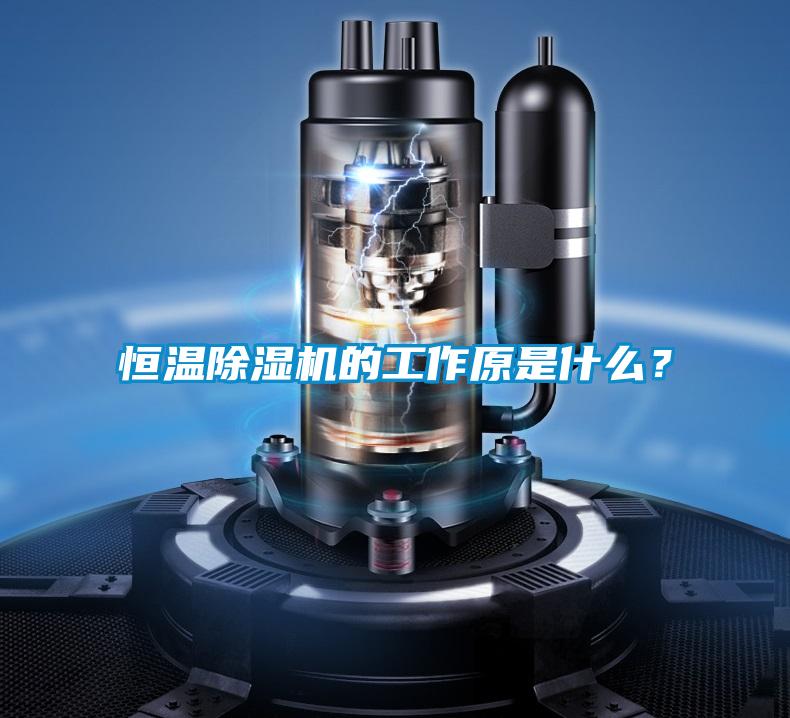 恒溫除濕機的工作原是什么？