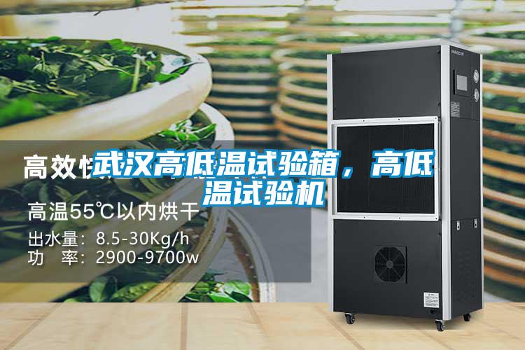 武漢高低溫試驗(yàn)箱，高低溫試驗(yàn)機(jī)