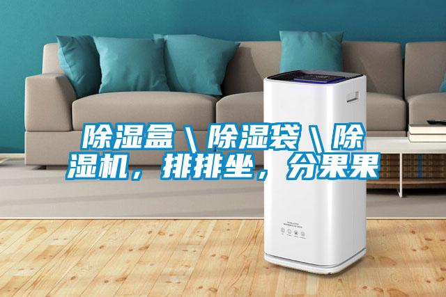 除濕盒＼除濕袋＼除濕機，排排坐，分果果