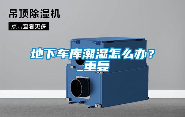 地下車庫潮濕怎么辦？_重復