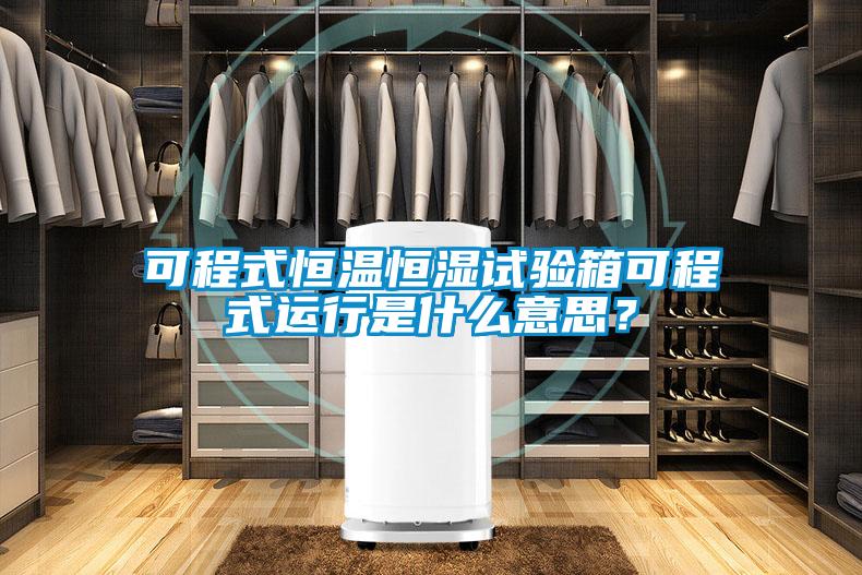 可程式恒溫恒濕試驗箱可程式運行是什么意思？