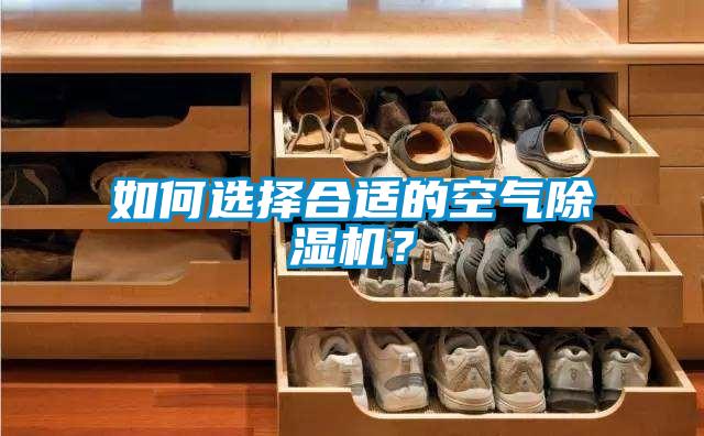 如何選擇合適的空氣除濕機？