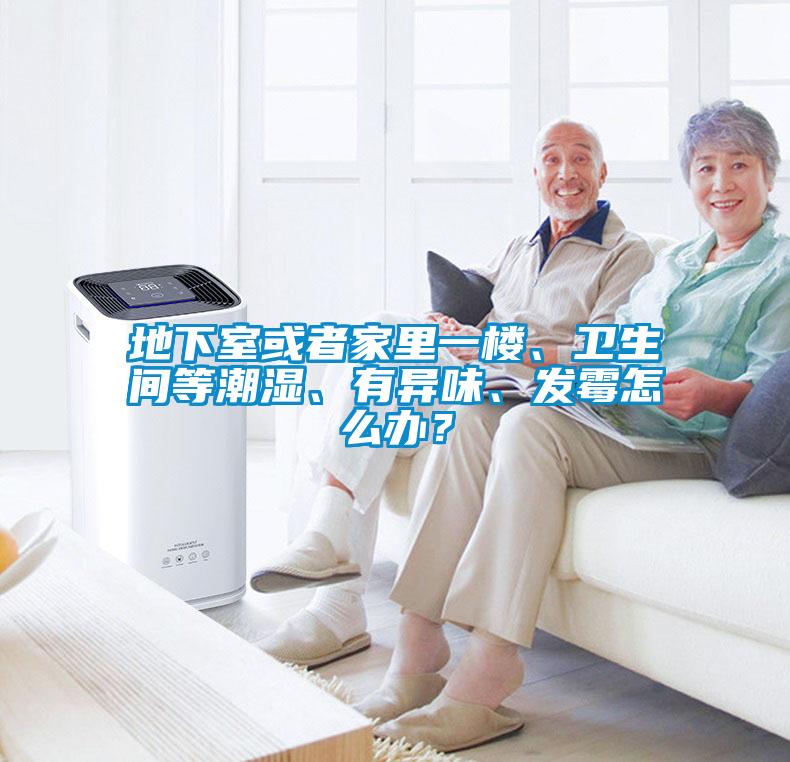 地下室或者家里一樓、衛(wèi)生間等潮濕、有異味、發(fā)霉怎么辦？
