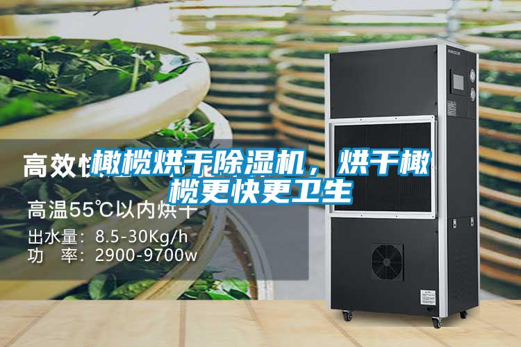 橄欖烘干除濕機(jī)，烘干橄欖更快更衛(wèi)生