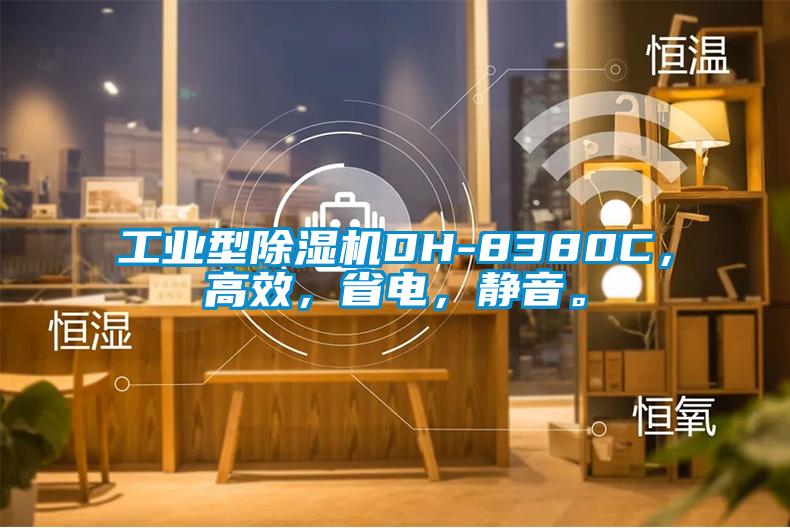 工業(yè)型除濕機DH-8380C，高效，省電，靜音。