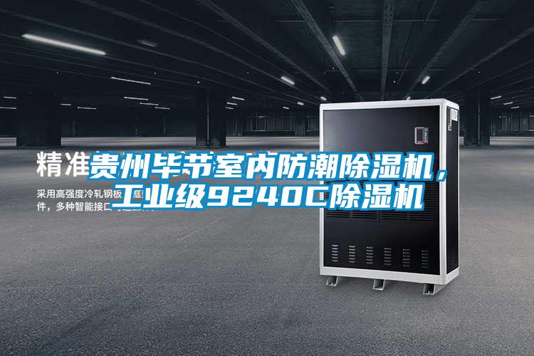 貴州畢節(jié)室內(nèi)防潮除濕機(jī)，工業(yè)級(jí)9240C除濕機(jī)