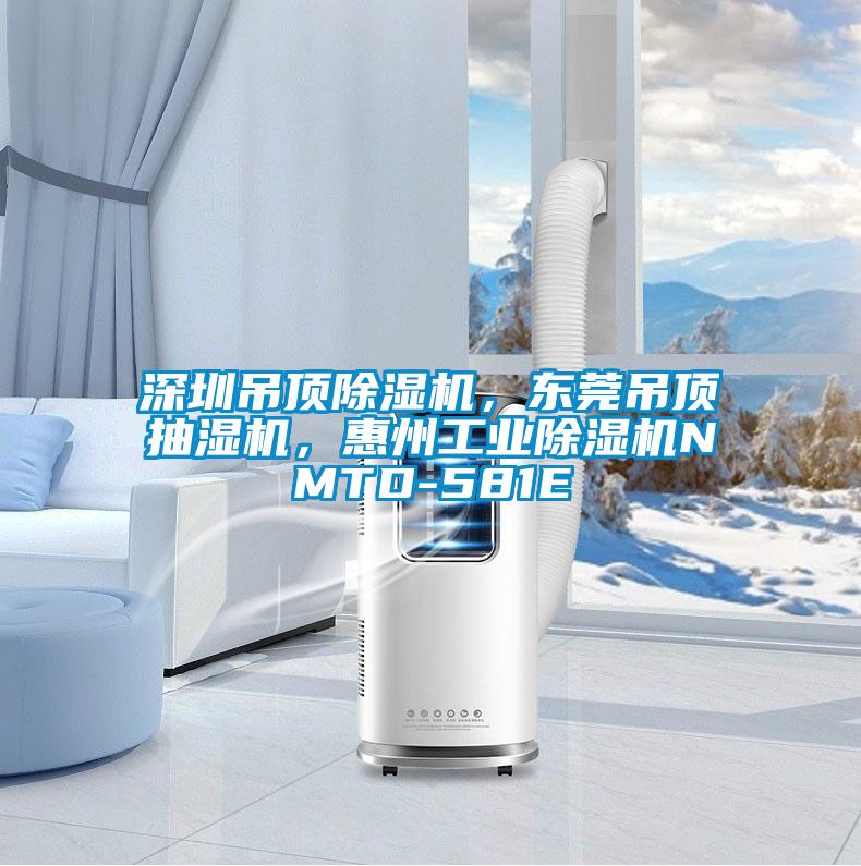 深圳吊頂除濕機(jī)，東莞吊頂抽濕機(jī)，惠州工業(yè)除濕機(jī)NMTD-581E