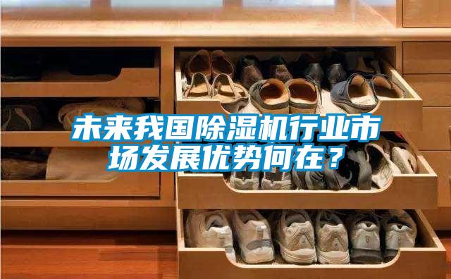 未來我國除濕機(jī)行業(yè)市場(chǎng)發(fā)展優(yōu)勢(shì)何在？