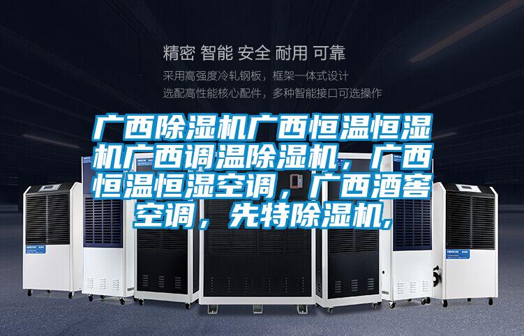 廣西除濕機廣西恒溫恒濕機廣西調溫除濕機，廣西恒溫恒濕空調，廣西酒窖空調，先特除濕機,