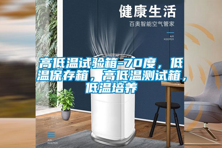 高低溫試驗(yàn)箱-70度，低溫保存箱，高低溫測試箱，低溫培養(yǎng)
