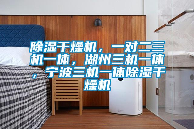 除濕干燥機，一對二三機一體，湖州三機一體，寧波三機一體除濕干燥機