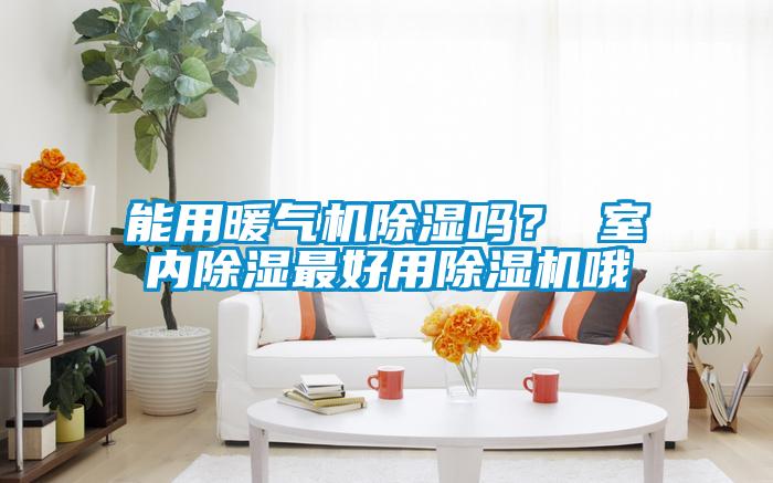 能用暖氣機除濕嗎？ 室內除濕最好用除濕機哦