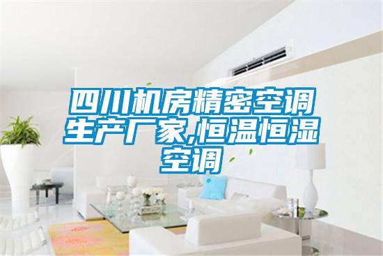 四川機房精密空調生產(chǎn)廠家,恒溫恒濕空調