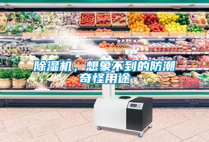 除濕機，想象不到的防潮奇怪用途