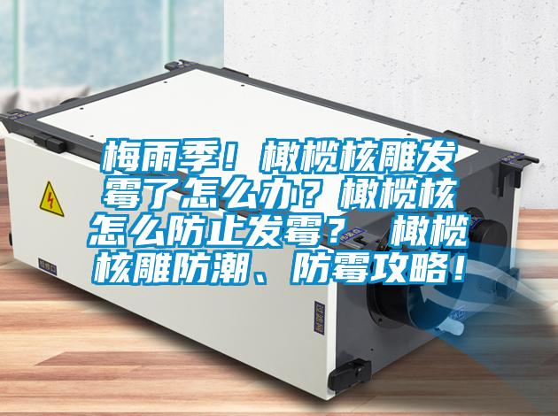 梅雨季！橄欖核雕發(fā)霉了怎么辦？橄欖核怎么防止發(fā)霉？ 橄欖核雕防潮、防霉攻略！