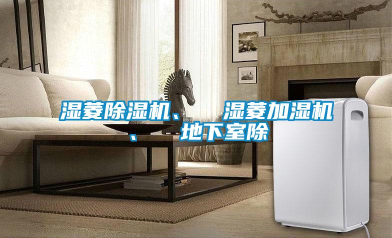 濕菱除濕機、  濕菱加濕機、  地下室除