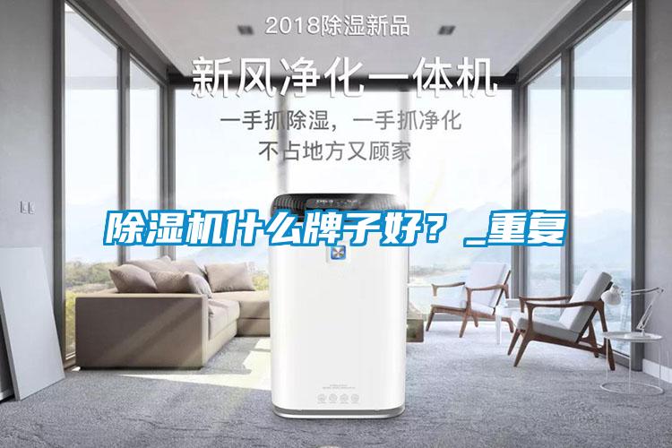 除濕機什么牌子好？_重復