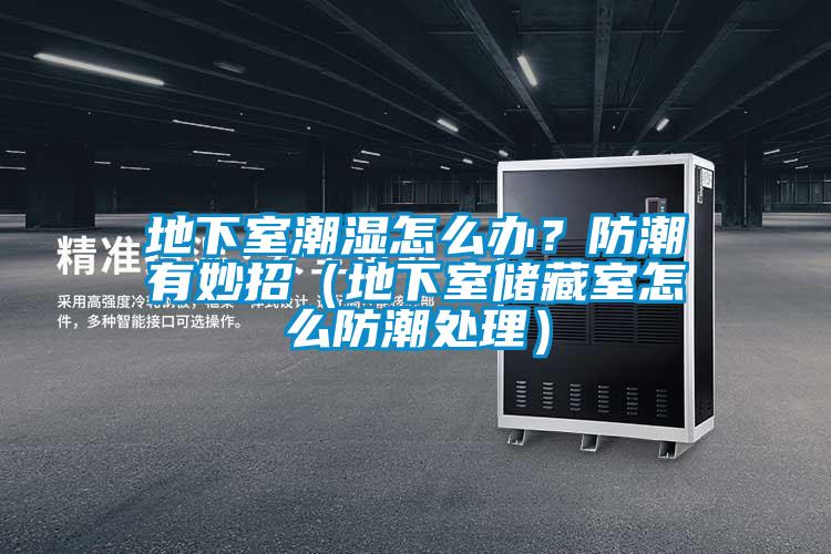 地下室潮濕怎么辦？防潮有妙招（地下室儲(chǔ)藏室怎么防潮處理）