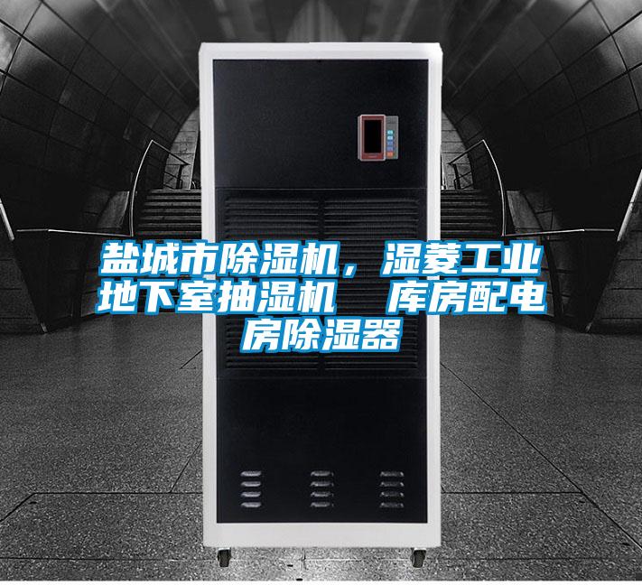 鹽城市除濕機(jī)，濕菱工業(yè)地下室抽濕機(jī)  庫房配電房除濕器