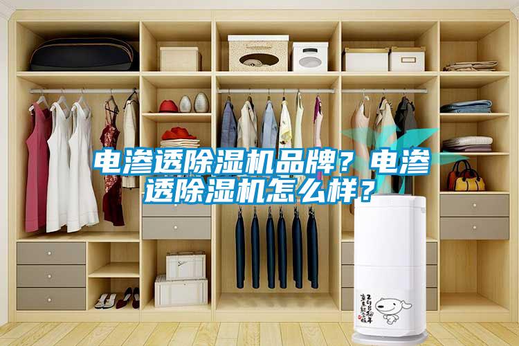 電滲透除濕機(jī)品牌？電滲透除濕機(jī)怎么樣？