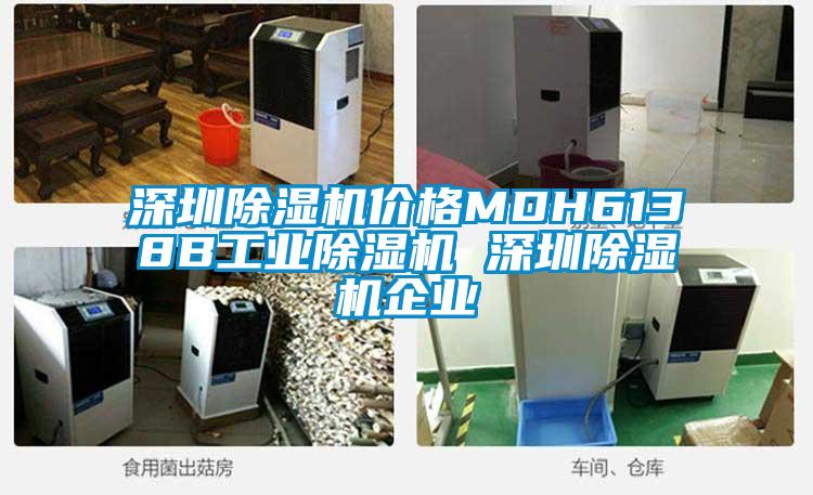 深圳除濕機(jī)價格MDH6138B工業(yè)除濕機(jī) 深圳除濕機(jī)企業(yè)