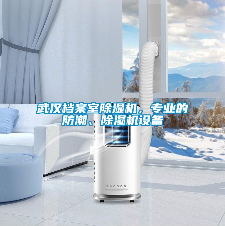 武漢檔案室除濕機(jī)，專業(yè)的防潮、除濕機(jī)設(shè)備