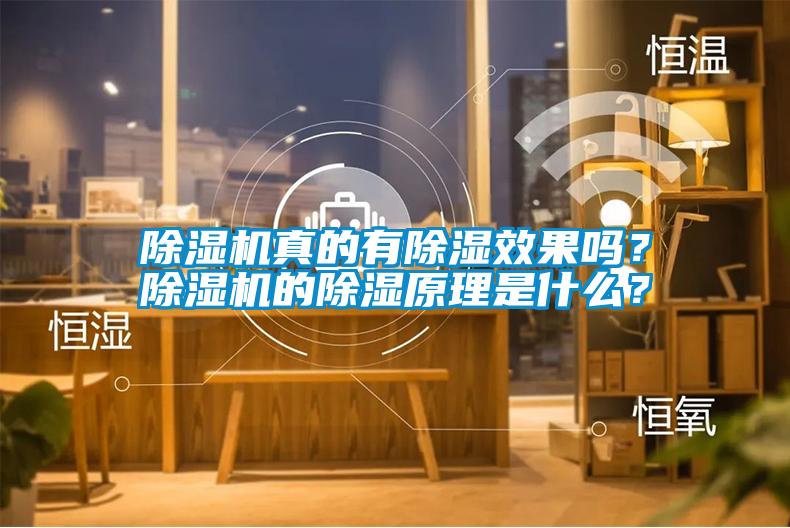 除濕機(jī)真的有除濕效果嗎？除濕機(jī)的除濕原理是什么？