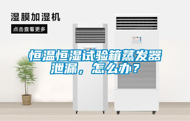 恒溫恒濕試驗箱蒸發(fā)器泄漏，怎么辦？