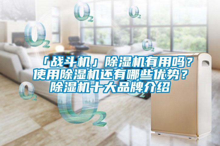 「戰(zhàn)斗機(jī)」除濕機(jī)有用嗎？使用除濕機(jī)還有哪些優(yōu)勢？除濕機(jī)十大品牌介紹