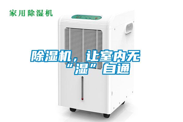 除濕機，讓室內(nèi)無“濕”自通