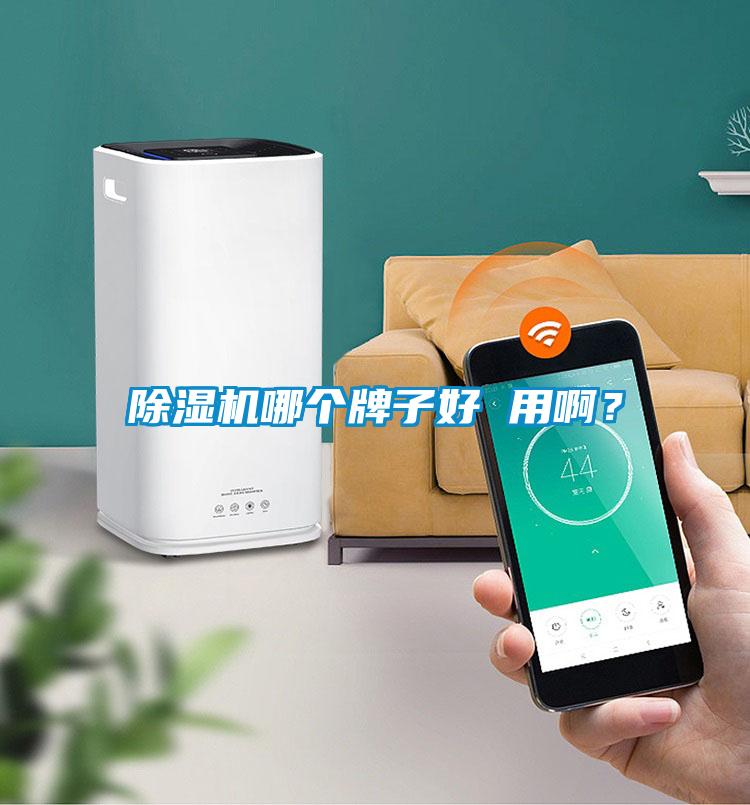 除濕機(jī)哪個牌子好 用?。?/></p>
						    <p style=