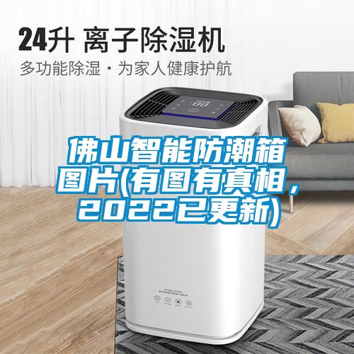 佛山智能防潮箱圖片(有圖有真相，2022已更新)