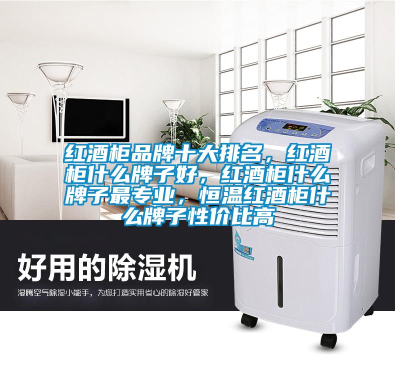 紅酒柜品牌十大排名，紅酒柜什么牌子好，紅酒柜什么牌子最專業(yè)，恒溫紅酒柜什么牌子性價(jià)比高