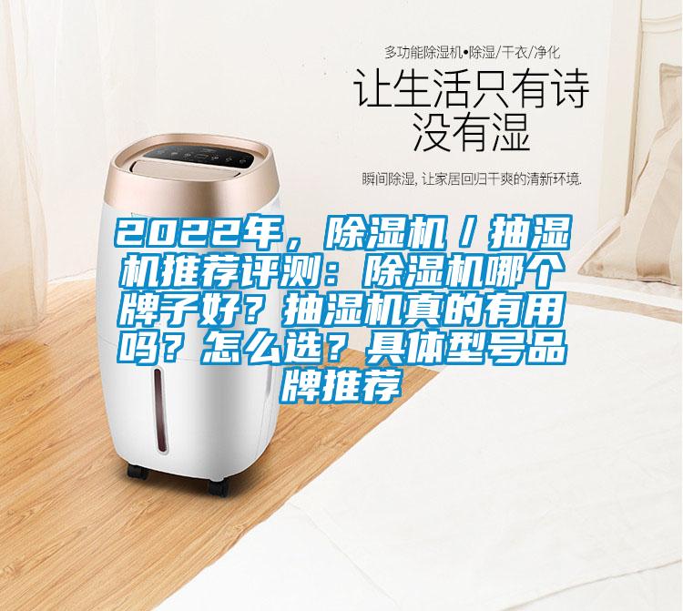 2022年，除濕機(jī)／抽濕機(jī)推薦評(píng)測(cè)：除濕機(jī)哪個(gè)牌子好？抽濕機(jī)真的有用嗎？怎么選？具體型號(hào)品牌推薦