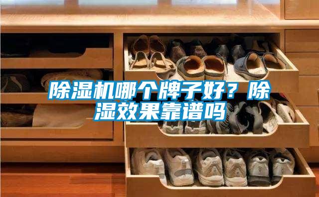 除濕機哪個牌子好？除濕效果靠譜嗎