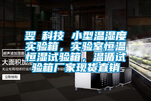 翌昇科技 小型溫濕度實(shí)驗(yàn)箱，實(shí)驗(yàn)室恒溫恒濕試驗(yàn)箱，溫循試驗(yàn)箱廠家現(xiàn)貨直銷(xiāo)
