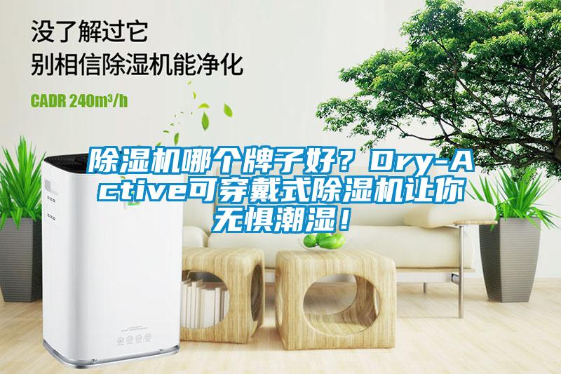 除濕機(jī)哪個(gè)牌子好？Dry-Active可穿戴式除濕機(jī)讓你無懼潮濕！