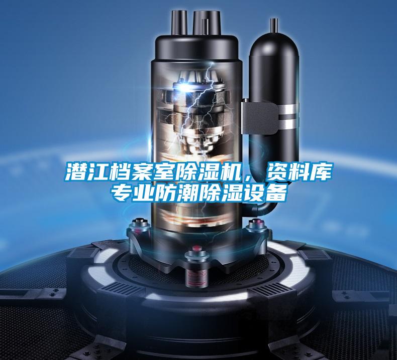 潛江檔案室除濕機(jī)，資料庫(kù)專業(yè)防潮除濕設(shè)備