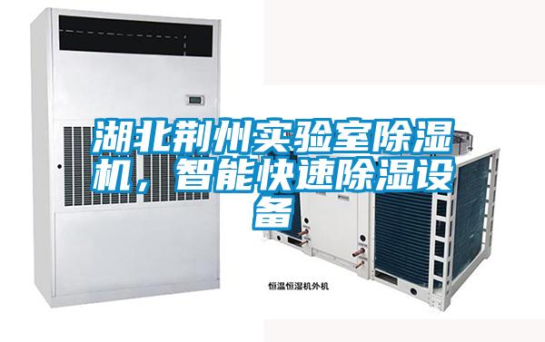 湖北荊州實(shí)驗(yàn)室除濕機(jī)，智能快速除濕設(shè)備