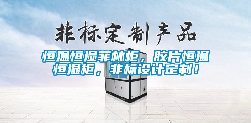 恒溫恒濕菲林柜，膠片恒溫恒濕柜，非標(biāo)設(shè)計定制！