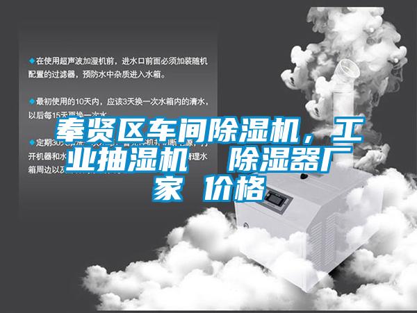 奉賢區(qū)車間除濕機，工業(yè)抽濕機  除濕器廠家 價格